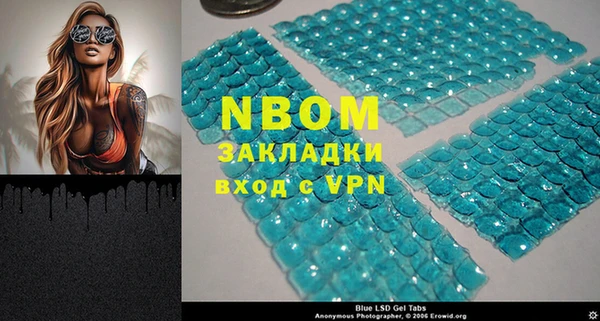 стаф Ельня