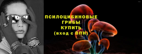 твердый Елизово
