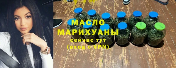 стаф Ельня
