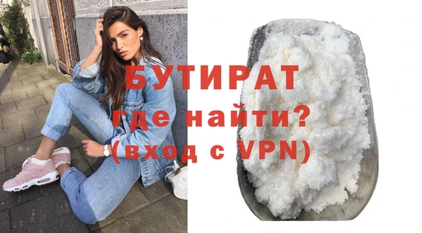 стаф Ельня