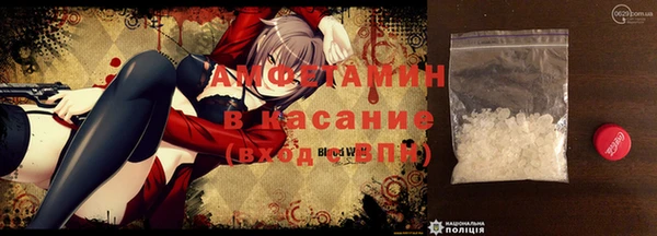 стаф Ельня