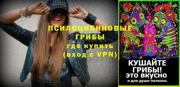 твердый Елизово