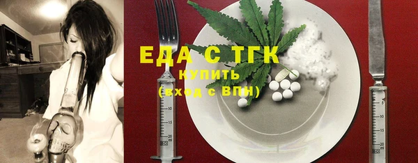 стаф Ельня