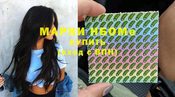 стаф Ельня