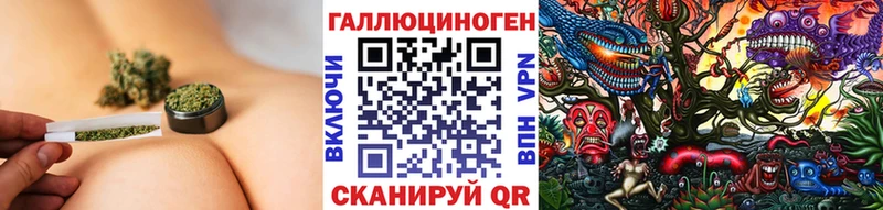 Купить  Сретенск  Галлюциногенные грибы Cubensis 